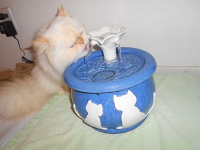 Sam with an Ebi drinking fountain